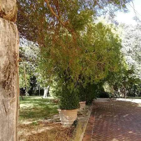 Il Villino Oda ve Kahvaltı